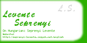 levente seprenyi business card